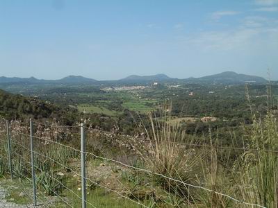 DSCF0080.JPG